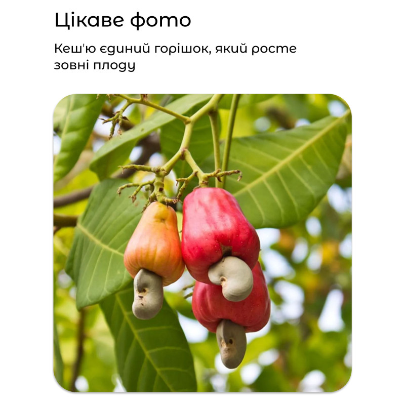 Кеш'ю Bee Granola 200г