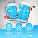 Колаген SFD Nutrition Collagen Premium 400г малина-полуниця