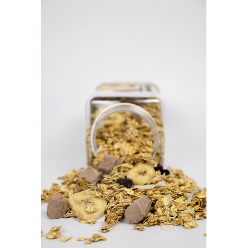 Гранола Bee Granola шоколадний пломбір 500г
